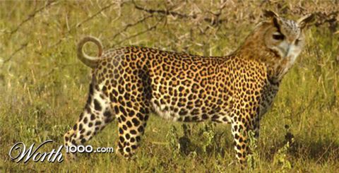 Photoshop Design by loudsilence