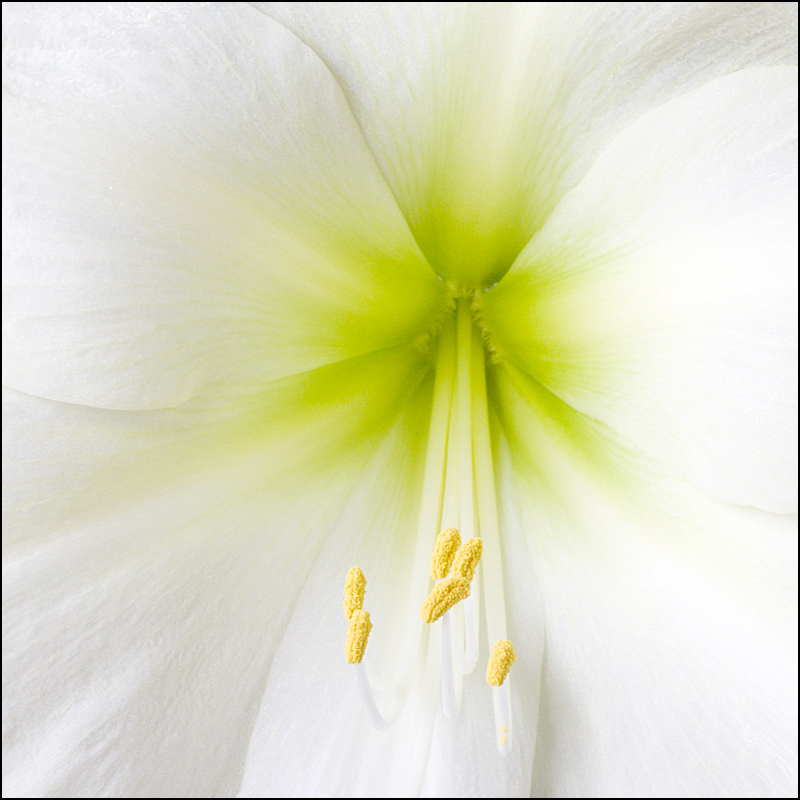 Photography by SigloV for DesignCrowd (Community Contests) | Design #9028364