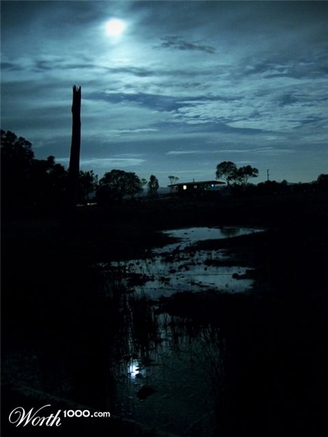 Photography by cpatrick