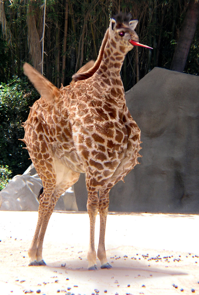 Diseño de Photoshop por FireDragon101 para DesignCrowd (Community Contests) | Diseño #9020346