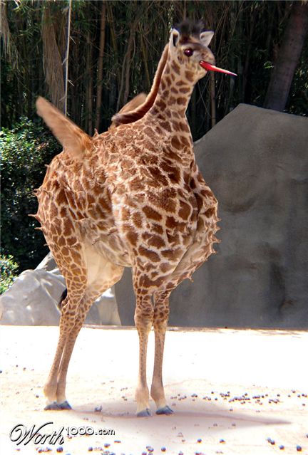 Photoshop Design by FireDragon101