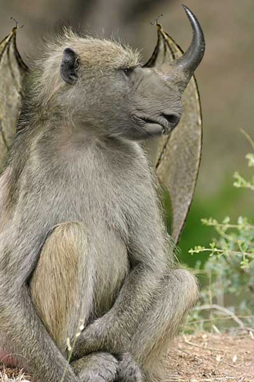 Design Photoshop par jmgarcia30 pour DesignCrowd (Community Contests) | Design #9020480