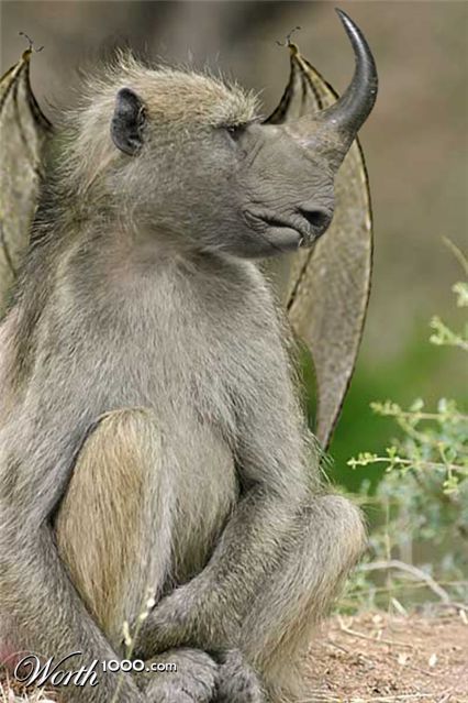 Photoshop Design by jmgarcia30