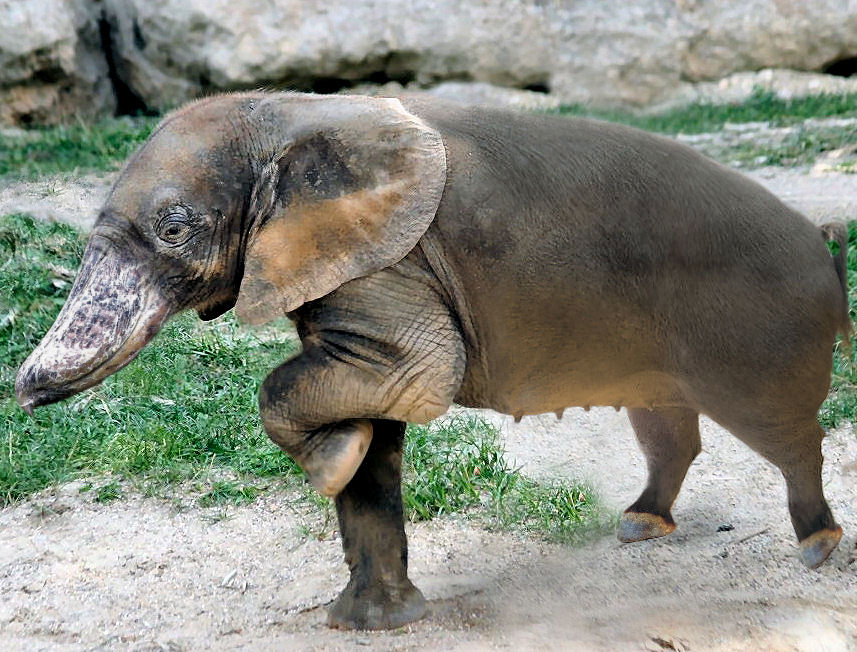 Photoshop-Design von Hobbit90 für DesignCrowd (Community Contests) | Design #9020505