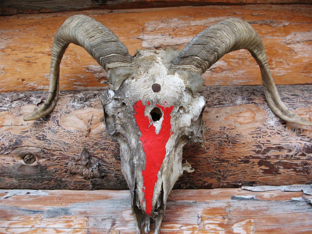 Photography by Mikeleus for DesignCrowd (Community Contests) | Design #9020225