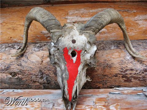 Photography by Mikeleus