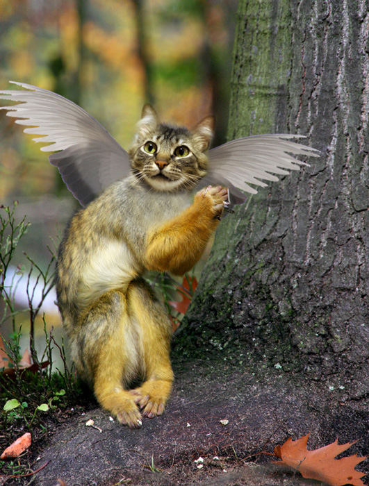 Diseño de Photoshop por mattbyng para DesignCrowd (Community Contests) | Diseño #9020502