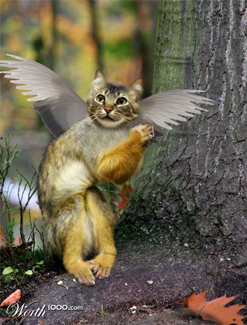 Photoshop Design by mattbyng