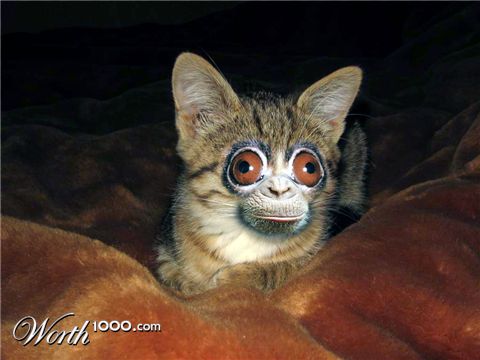 Photoshop Design by RickLaMesa