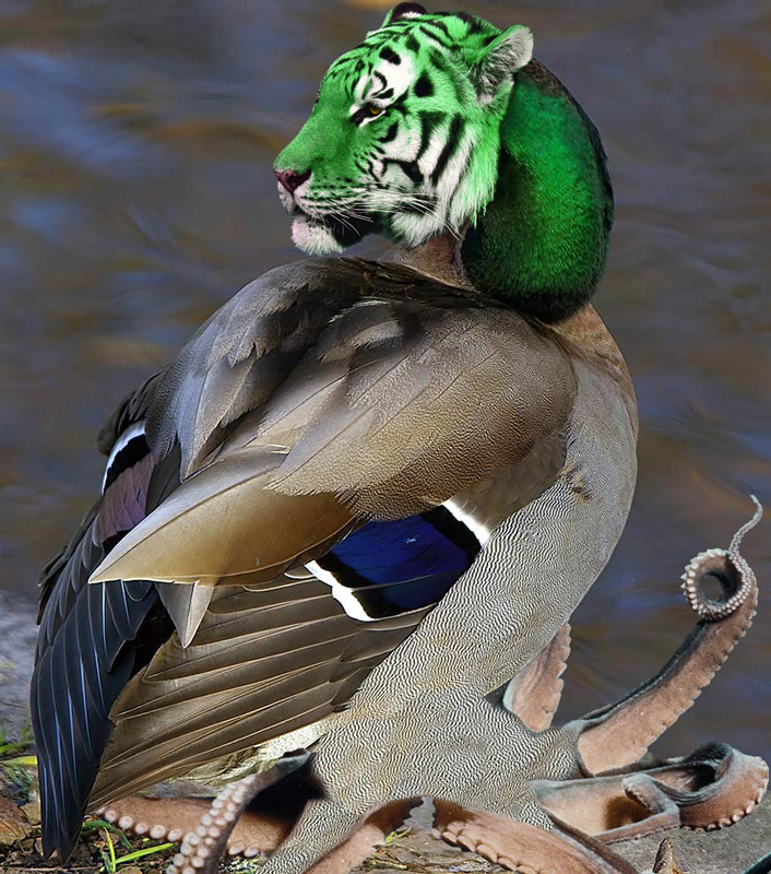 Photoshop Design by jersalv1 for DesignCrowd (Community Contests) | Design #9020517