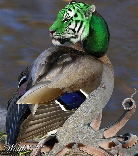 Photoshop Design by jersalv1