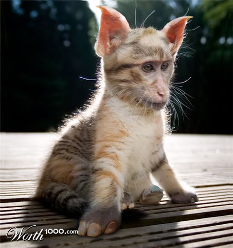 Photoshop Design by HDoyer