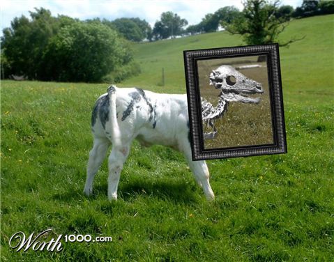 Photoshop Design by tanwal