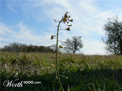 Photography by jennetaken