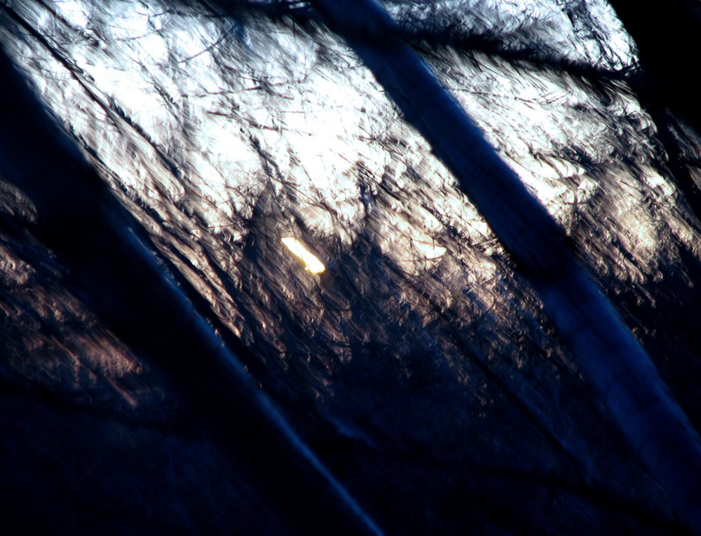 Fotografía por zymark para DesignCrowd (Community Contests) | Diseño #9022290