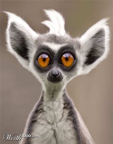 Photoshop Design by Koosricardo