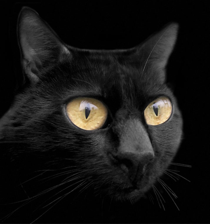 Photoshop Design by beringov for DesignCrowd (Community Contests) | Design #9017913