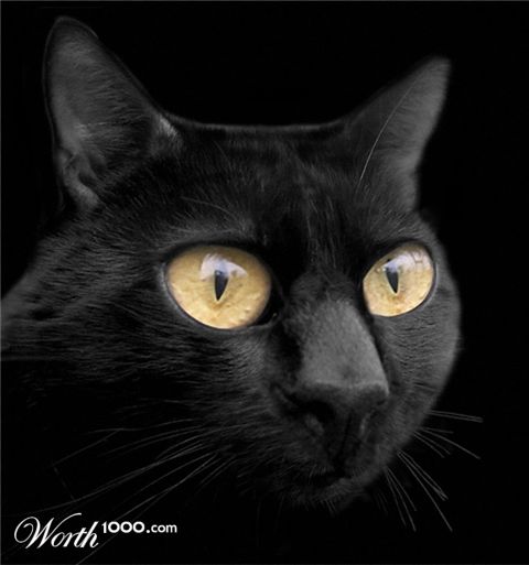 Photoshop Design by beringov