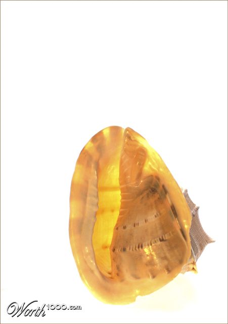 Photography by drdonallen