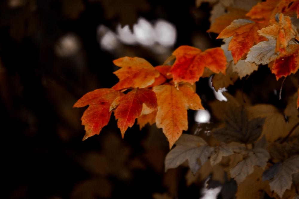 Photography by jemtman for DesignCrowd (Community Contests) | Design #9020239
