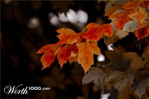 Photography by jemtman