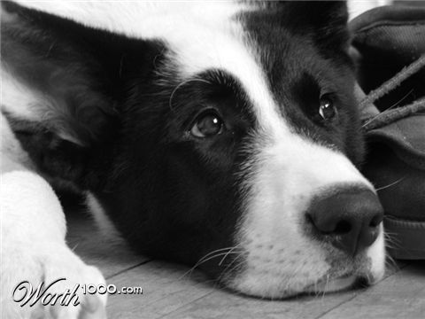 Photography by AvedaRose