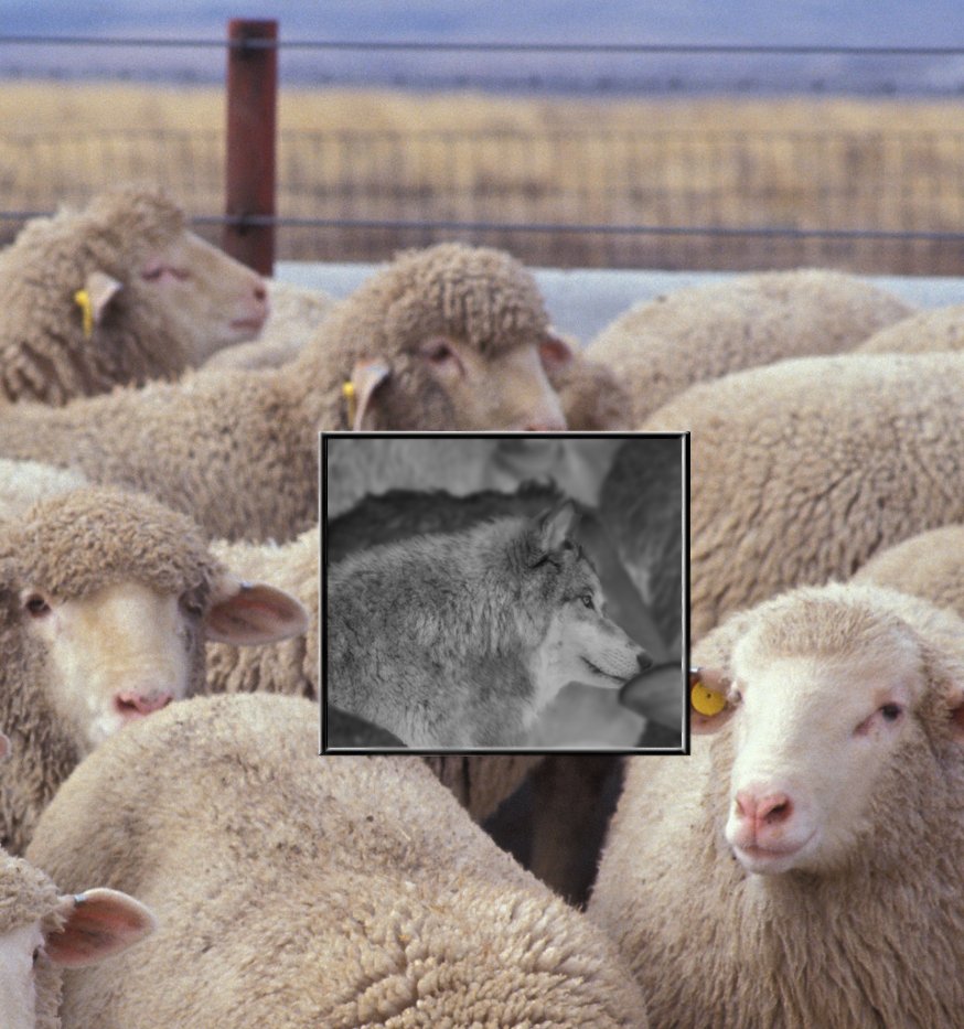 Diseño de Photoshop por kibbitzmom para DesignCrowd (Community Contests) | Diseño #9020160