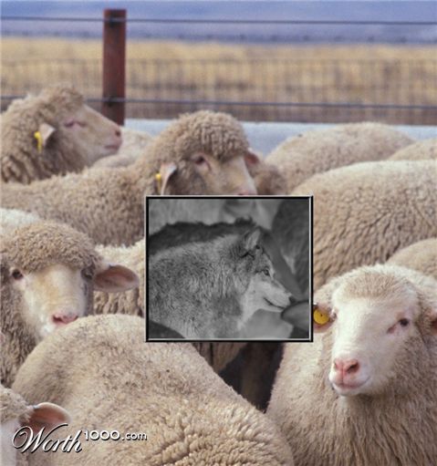 Photoshop Design by kibbitzmom