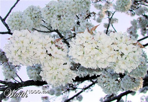 Photography by NatashaP