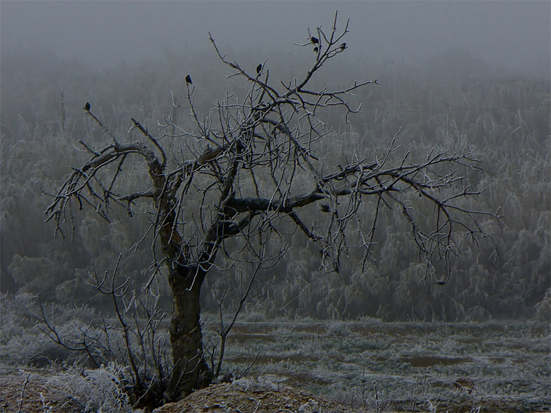 Photography by IsleofJura for DesignCrowd (Community Contests) | Design #9022291