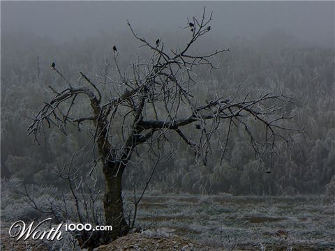 Photography by IsleofJura