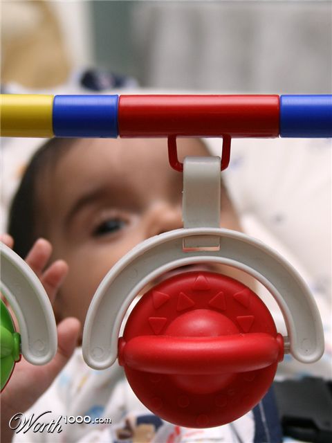 Photography by sachsonh