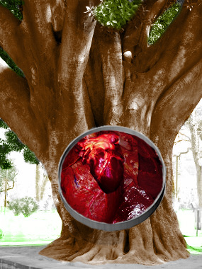 Diseño de Photoshop por KCY5292 para DesignCrowd (Community Contests) | Diseño #9020270