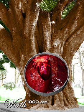 Photoshop Design by KCY5292