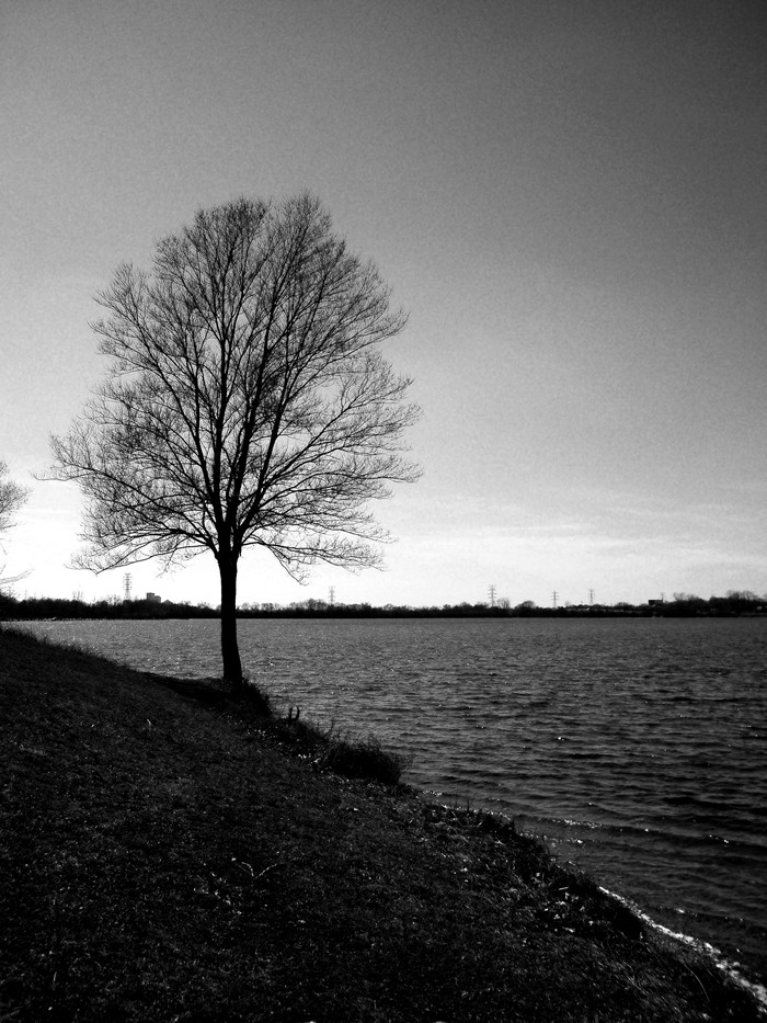 Photographie par RickF413 pour DesignCrowd (Community Contests) | Design #9022953