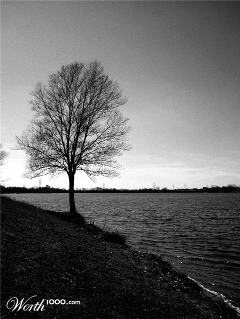 Photography by RickF413