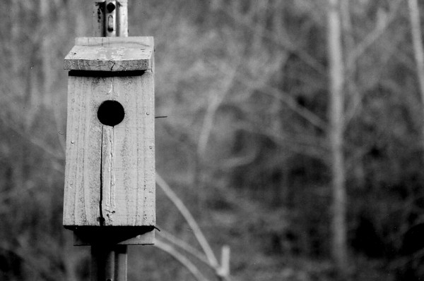 Photography by Nolin41291 for DesignCrowd (Community Contests) | Design #9023029