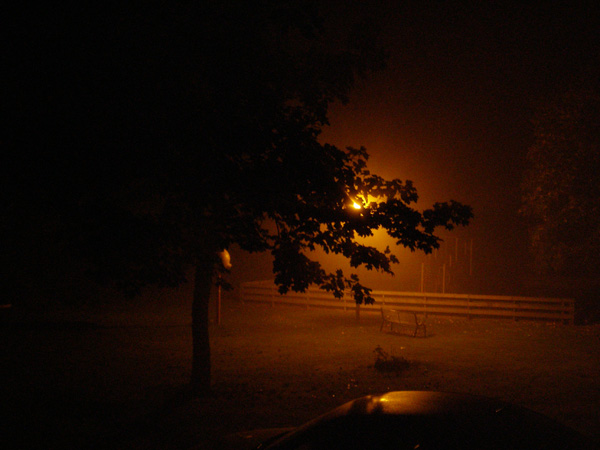 Photography by clownfeatures for DesignCrowd (Community Contests) | Design #9023026