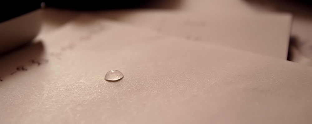 Photographie par TotalDomination pour DesignCrowd (Community Contests) | Design #9022961