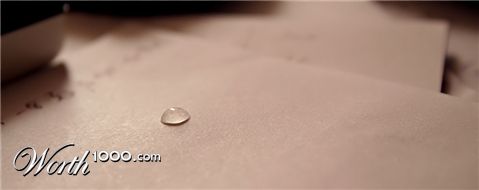 Photography by TotalDomination