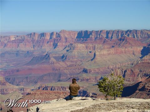 Photography by robinsphotos