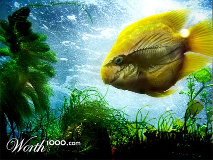 Photoshop Design by GentleZephyr