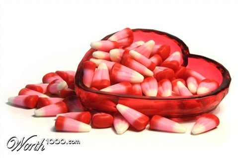 Photography by lilhorseebabee