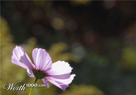 Photography by cshutt