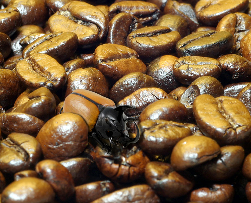 Photoshop Design by scsonka for DesignCrowd (Community Contests) | Design #9027846