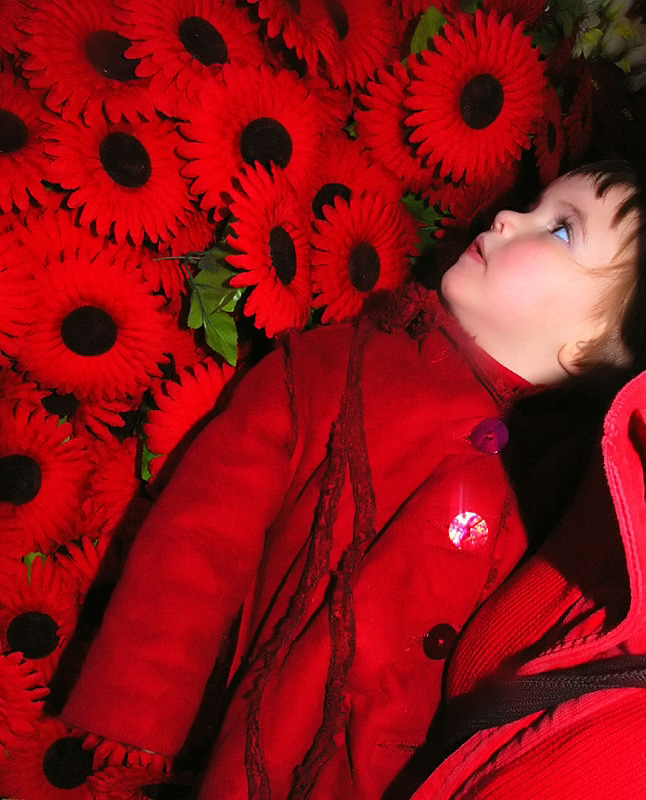 Photography by AsierReisa for DesignCrowd (Community Contests) | Design #9020288