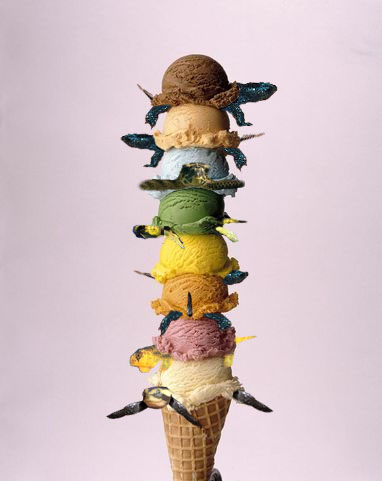 Photoshop Design by srispiderman for DesignCrowd (Community Contests) | Design #9027869