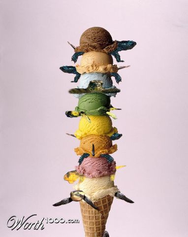 Photoshop Design by srispiderman