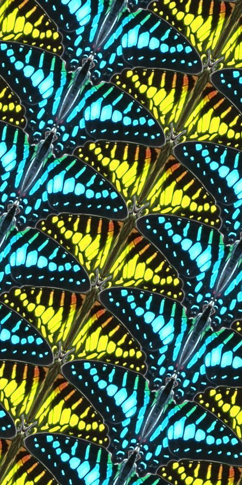 Photoshop Design by CraftLord for DesignCrowd (Community Contests) | Design #9027525