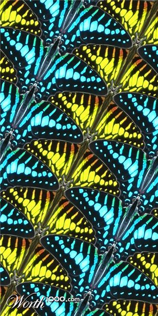 Photoshop Design by CraftLord